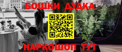 гашик Будённовск