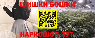 гашик Будённовск