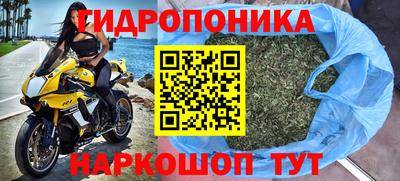 гашик Будённовск