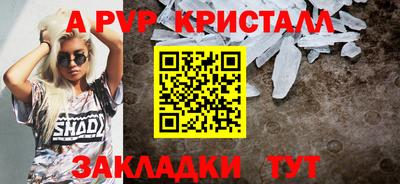 гашик Будённовск