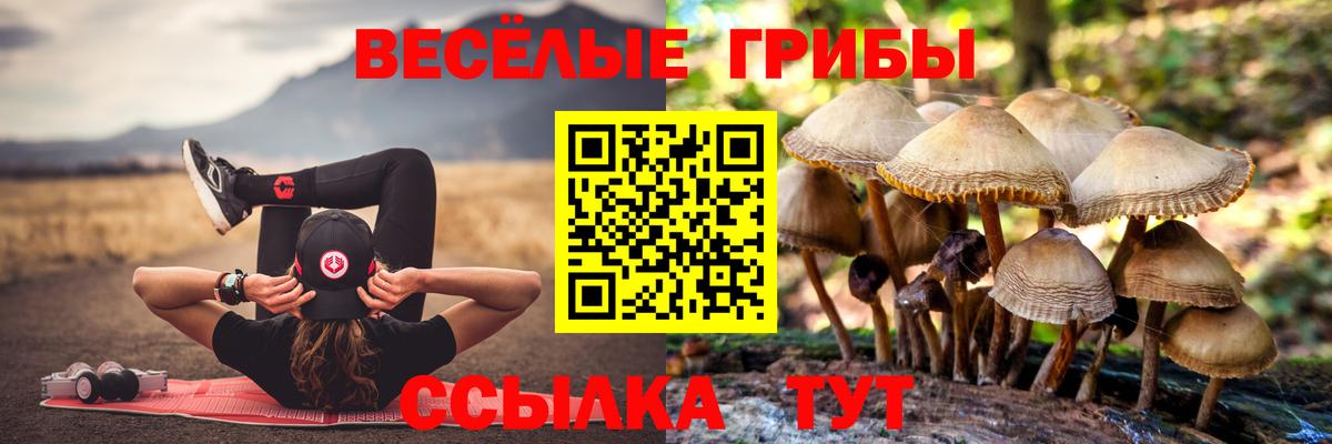 Красноярск  Галлюциногенные грибы Cubensis  Псилоцибиновые грибы GOLDEN TEACHER  Вход с VPN 